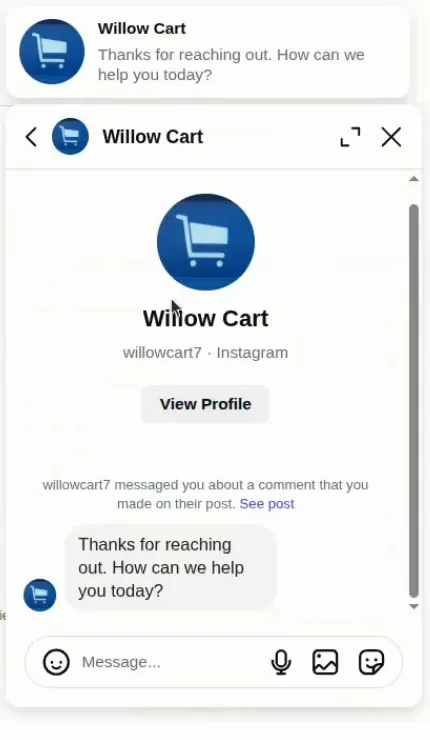 Instagram DM from Willow Cart sent automatically after a comment on the post